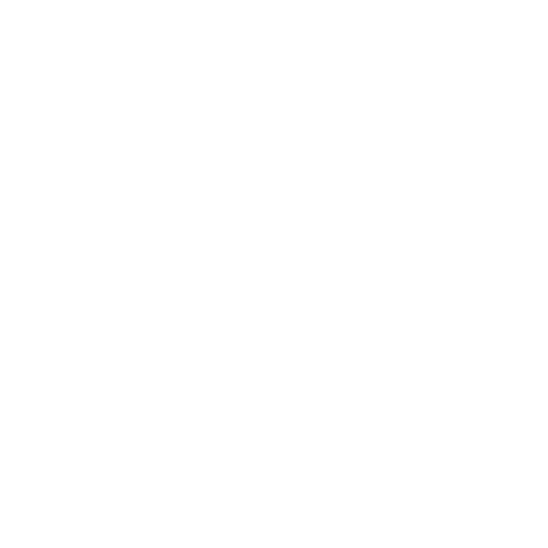 FINAL LOGO WHITE